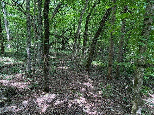 0 Cross Keys Road, College Grove, TN 37046