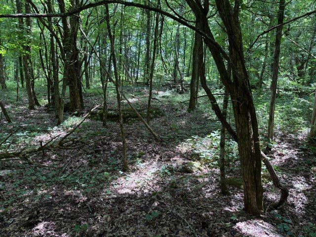 0 Cross Keys Road, College Grove, TN 37046