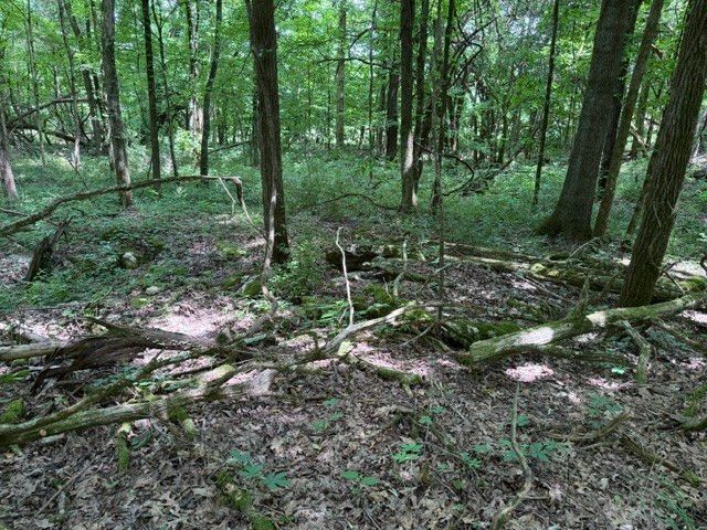 0 Cross Keys Road, College Grove, TN 37046