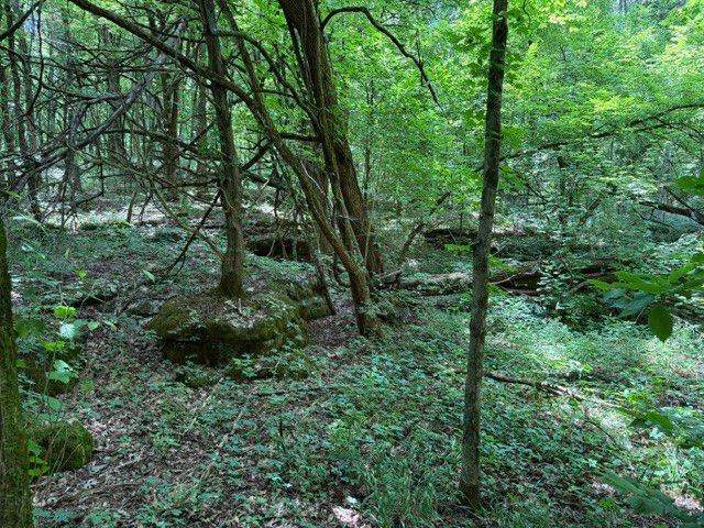 0 Cross Keys Road, College Grove, TN 37046