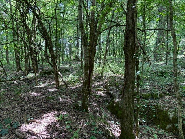 0 Cross Keys Road, College Grove, TN 37046