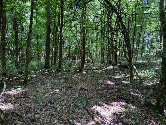 0 Cross Keys Road, College Grove, TN 37046