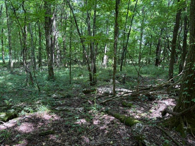 0 Cross Keys Road, College Grove, TN 37046