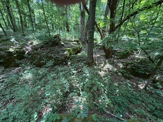 0 Cross Keys Road, College Grove, TN 37046