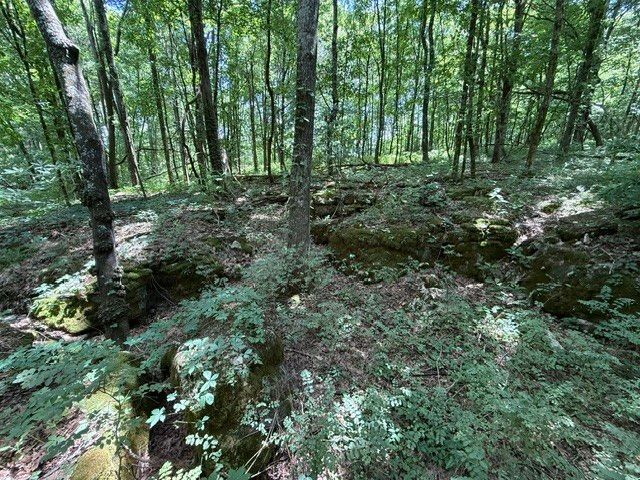 0 Cross Keys Road, College Grove, TN 37046