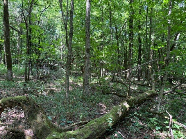 0 Cross Keys Road, College Grove, TN 37046