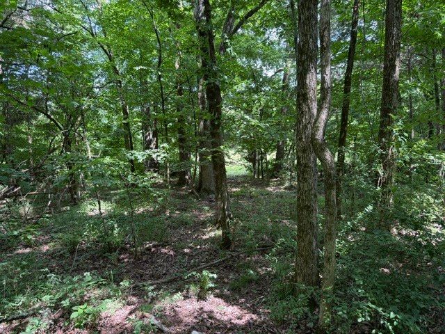0 Cross Keys Road, College Grove, TN 37046