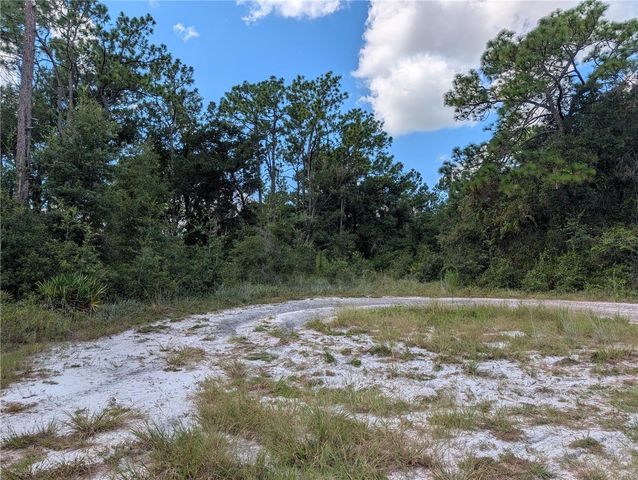 XXX WEDGEWOOD CIRCLE, Mount Dora, FL 32757