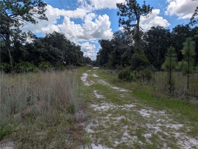 XXX WEDGEWOOD CIRCLE, Mount Dora, FL 32757