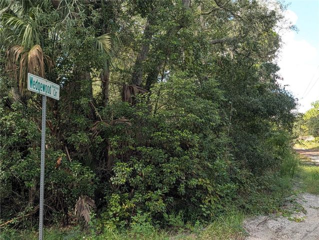 XXX WEDGEWOOD CIRCLE, Mount Dora, FL 32757