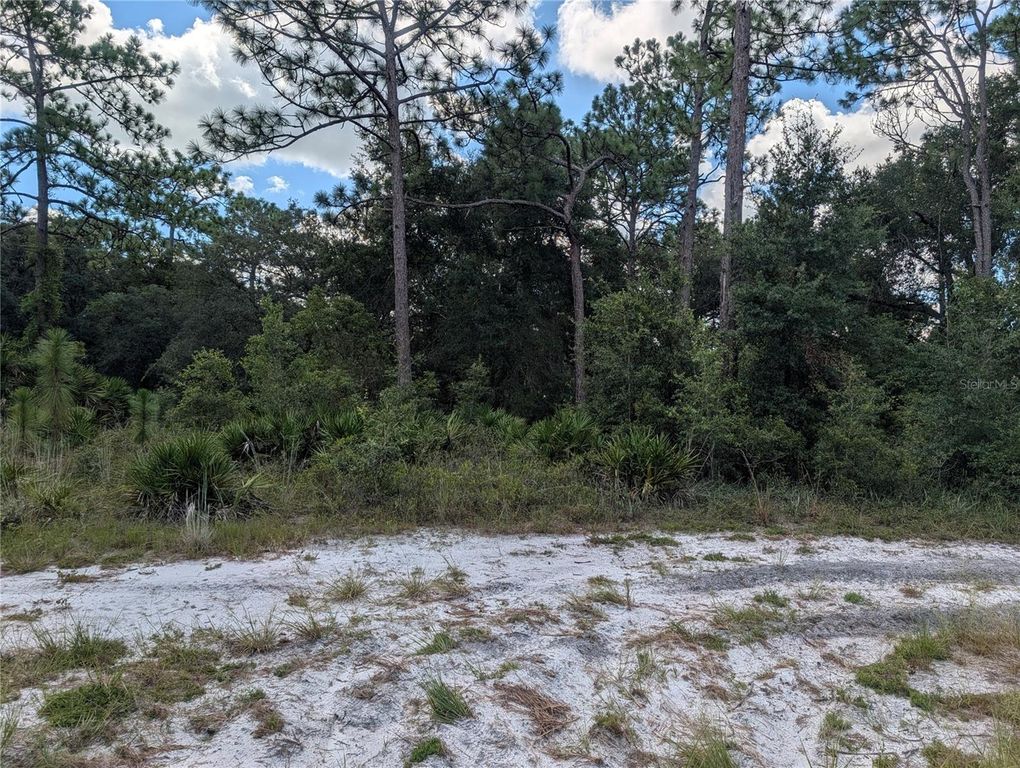 XXX WEDGEWOOD CIRCLE, Mount Dora, FL 32757