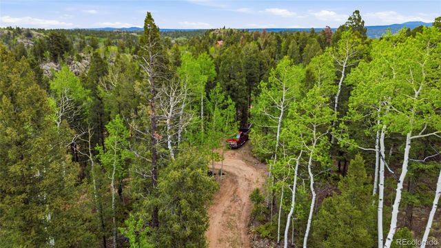 290 Eagle Rock Road, Florissant, CO 80816