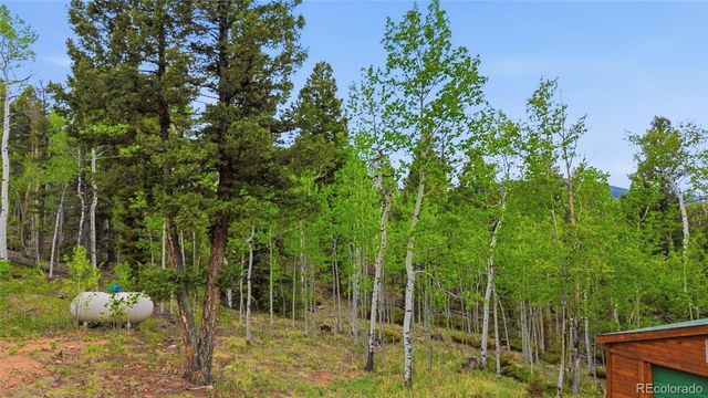 290 Eagle Rock Road, Florissant, CO 80816