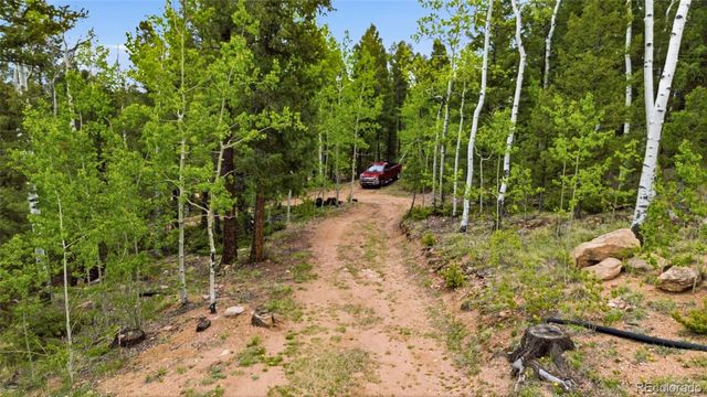 290 Eagle Rock Road, Florissant, CO 80816