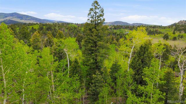 290 Eagle Rock Road, Florissant, CO 80816