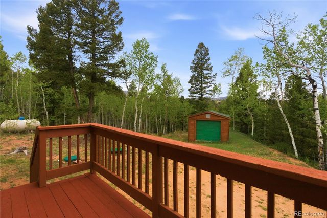290 Eagle Rock Road, Florissant, CO 80816