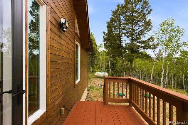 290 Eagle Rock Road, Florissant, CO 80816