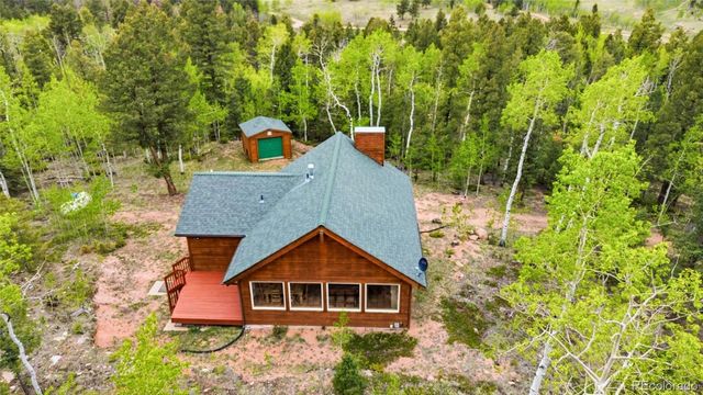 290 Eagle Rock Road, Florissant, CO 80816