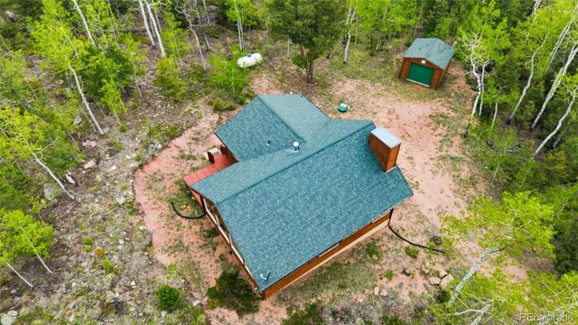 290 Eagle Rock Road, Florissant, CO 80816