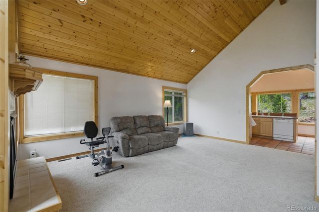 290 Eagle Rock Road, Florissant, CO 80816