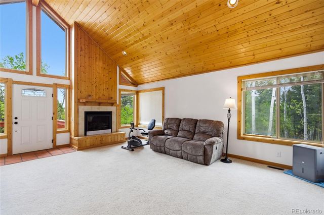 290 Eagle Rock Road, Florissant, CO 80816