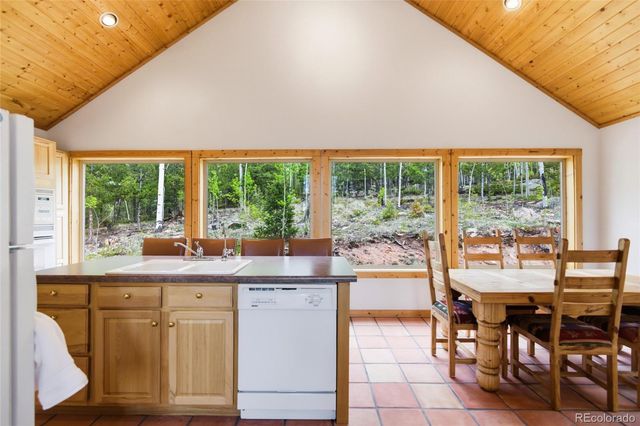 290 Eagle Rock Road, Florissant, CO 80816