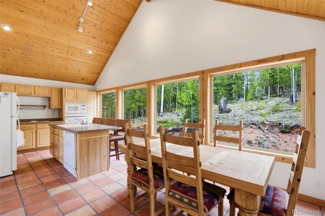 290 Eagle Rock Road, Florissant, CO 80816