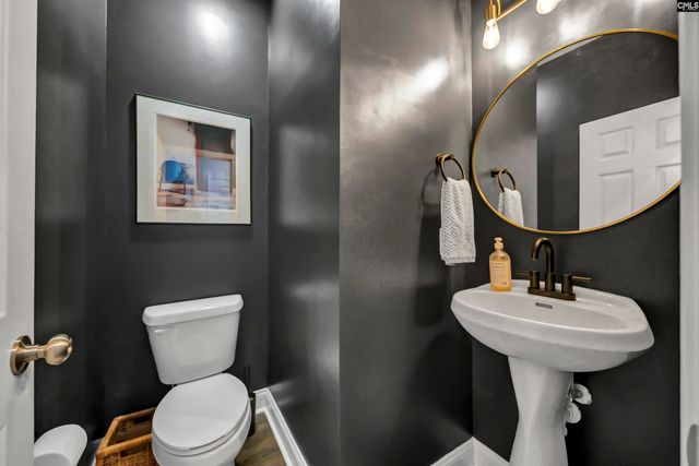 349 Saluda Springs Drive, Lexington, SC 29072