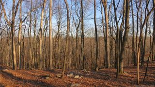 67 Umpawaug Road, Redding, CT 06896