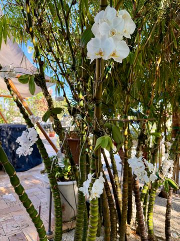 712 Forsyth Street, Boca Raton, FL 33487