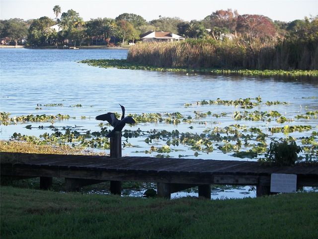 1003 S BAYSHORE BOULEVARD 202, Safety Harbor, FL 34695