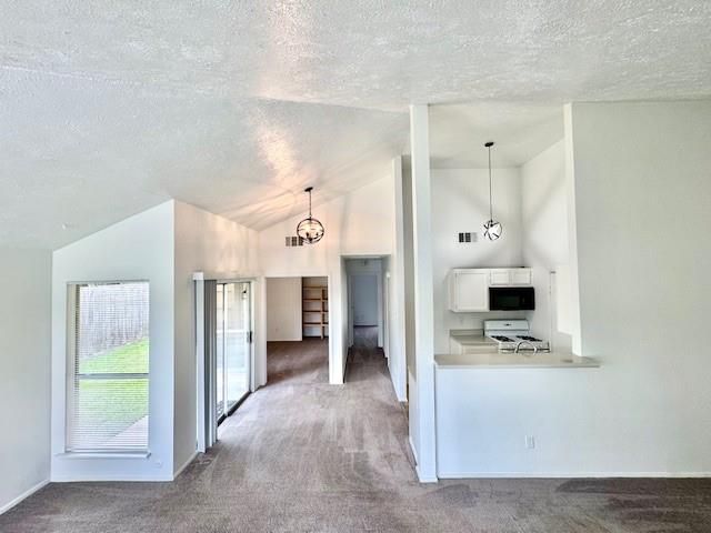 3115 Trembling Creek Circle, Spring, TX 77373