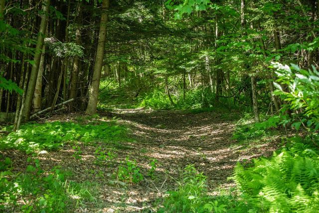 1726 Skitchewaug Trail, Springfield, VT 05156