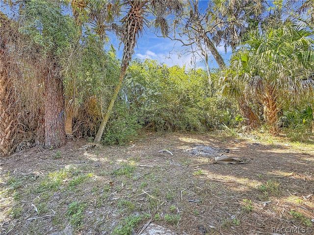 416 N Hourglass Terrace, Crystal River, FL 34429