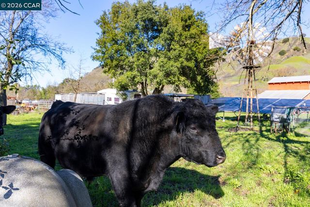 1015 Garcia Ranch Road, Martinez, CA 94553