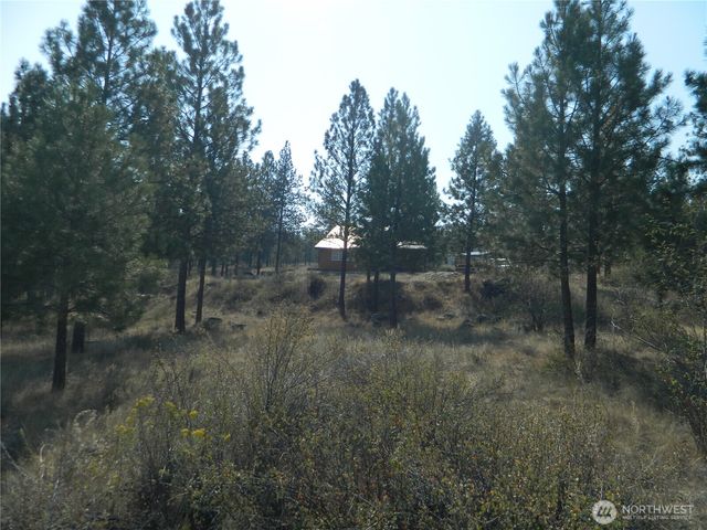 87 Peony Creek Road, Tonasket, WA 98855