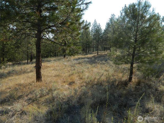 87 Peony Creek Road, Tonasket, WA 98855