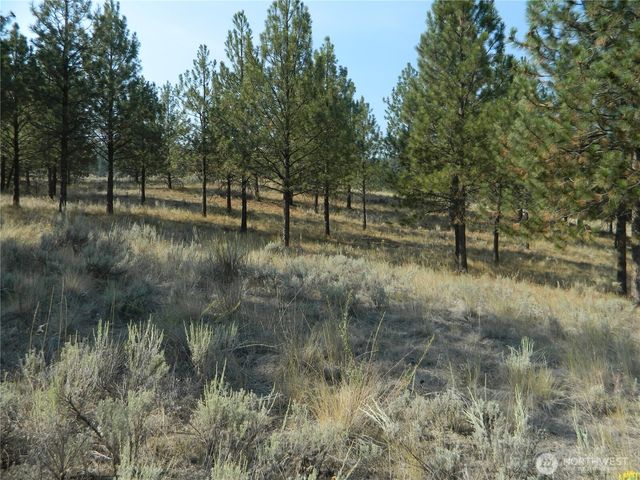 87 Peony Creek Road, Tonasket, WA 98855