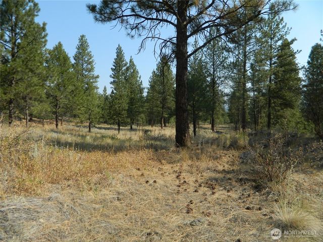 87 Peony Creek Road, Tonasket, WA 98855