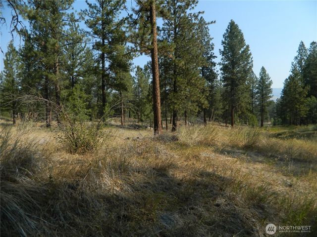 87 Peony Creek Road, Tonasket, WA 98855