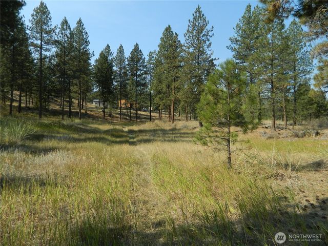 87 Peony Creek Road, Tonasket, WA 98855