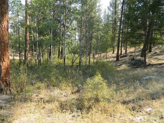 87 Peony Creek Road, Tonasket, WA 98855