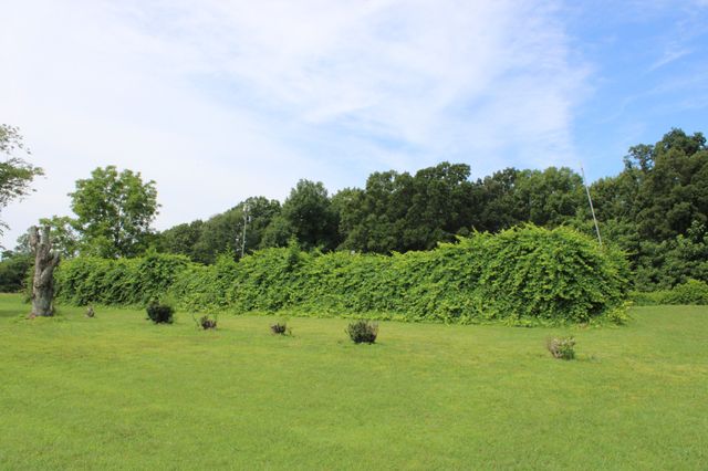 612 Bost Rd, Mcminnville, TN 37110