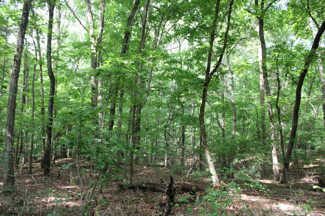 612 Bost Rd, Mcminnville, TN 37110