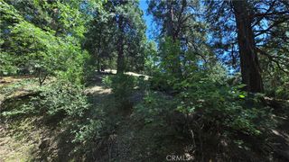 22494 Mojave River Road, Cedarpines Park, CA 92322