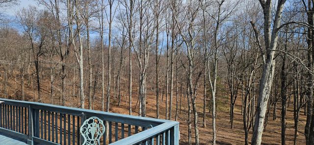 103 Glenn Haven TER, Goode, VA 24556