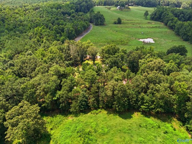 286 County Road 1241, Vinemont, AL 35179