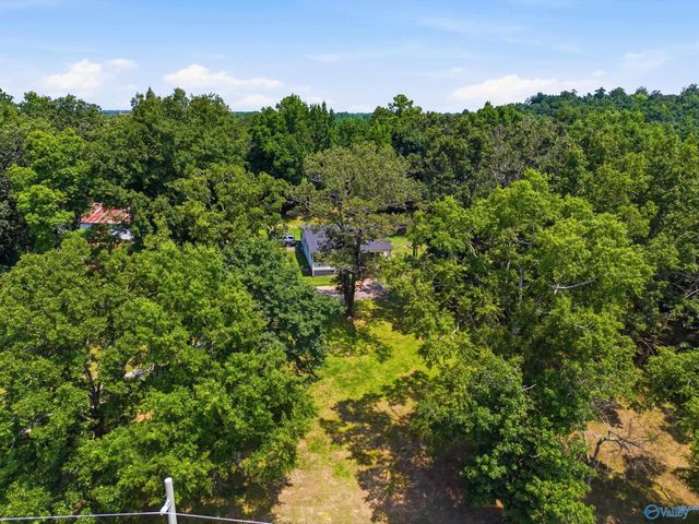 286 County Road 1241, Vinemont, AL 35179
