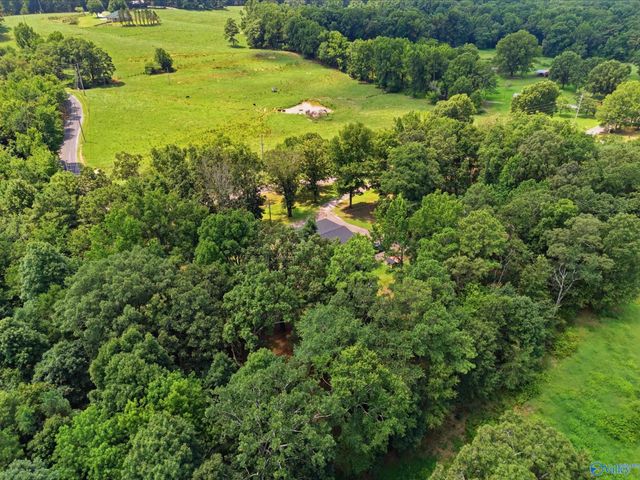 286 County Road 1241, Vinemont, AL 35179