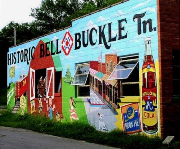 206 Amanda Dr, Bell Buckle, TN 37020